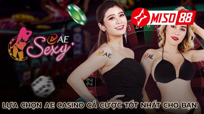 lua-chon-ae-casino-ca-cuoc-tot-nhat