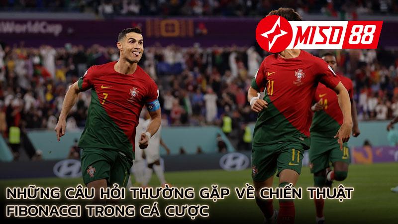 nhung-cau-hoi-thuong-gap-ve-chien-thuat-fibonacci-trong-ca-cuoc