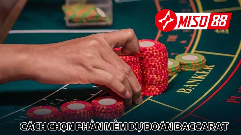 Cách chọn phần mềm dự đoán baccarat